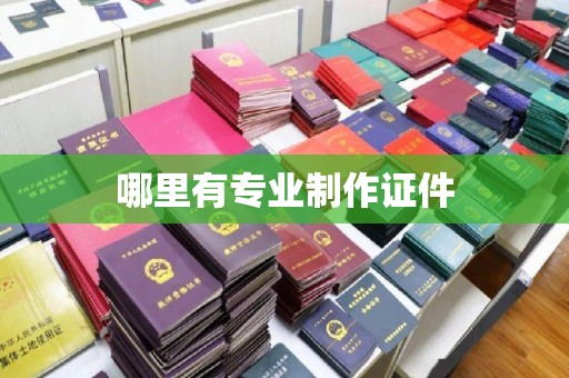 商南哪里有专业制作证件